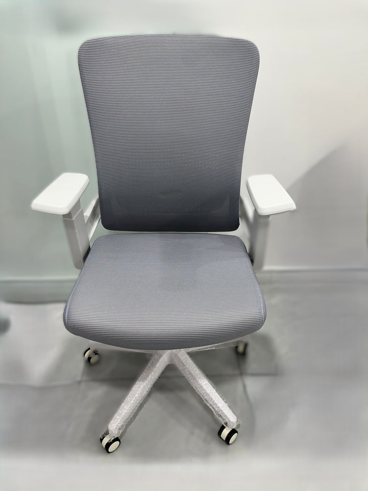 SM3: Mid Back Mesh Chair