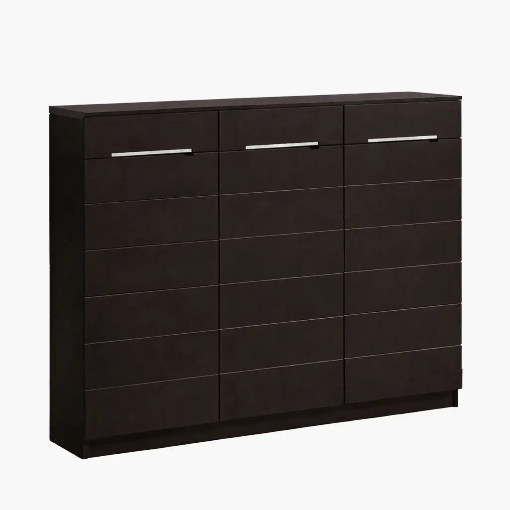 Shoe Cabinet 3