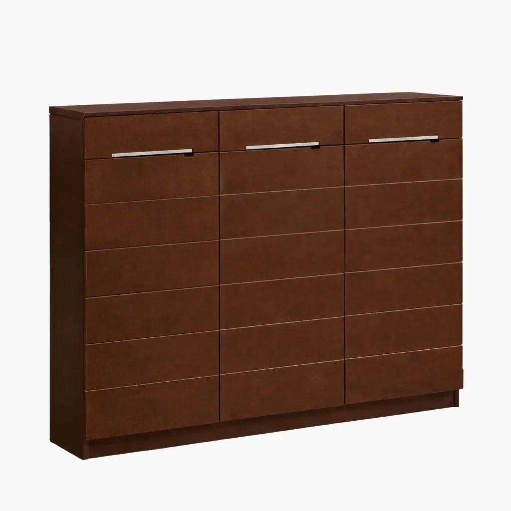 Shoe Cabinet 3