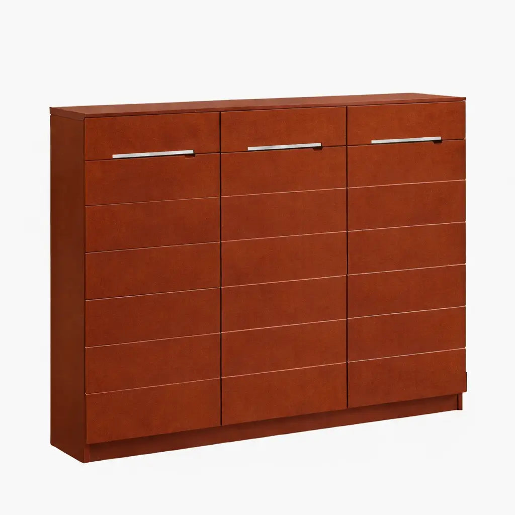 Shoe Cabinet 3